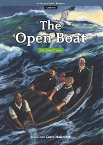 essay on the open boat